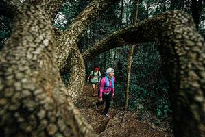 BIB: 
                            <button type="button" onclick="openModal(25703220)" class="btn btn-primary btn-sm float-right btn-popup" data-toggle="modal" data-target=".modal-high-quality">
                        <i class="fas fa-shopping-cart"></i> Add to Cart
                    </button>
                                            <button type="button" onclick="isThisMe(25703220, true)" class="btn btn-success btn-sm float-right btn-popup btn-isme hidden" data-toggle="tooltip" data-placement="bottom" title="นี่คือรูปของคุณใช่ไหม คลิกที่นี่เพื่อเอาเข้าอัลบั้ม">
                        <i class="fas fa-plus"></i> Add to album
                    </button>
                    <button type="button" onclick="isThisMe(25703220, false)" class="btn btn-warning btn-sm float-right btn-popup btn-isnotme hidden">
                        <i class="fas fa-ban"></i> Remove from album
                    </button>